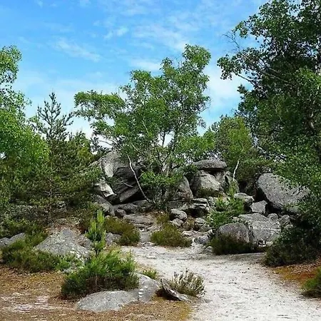 Apartamento Le Cachet D Antan Fontainebleau