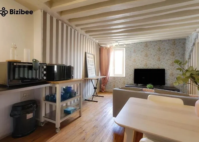 Le Bourboncentre Villecharme Appartement *