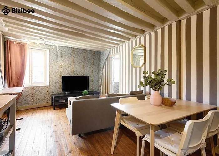 Appartement Le Bourboncentre Villecharme Fontainebleau