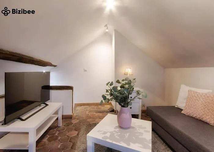 Le Bourboncentre Villecharme Appartement *